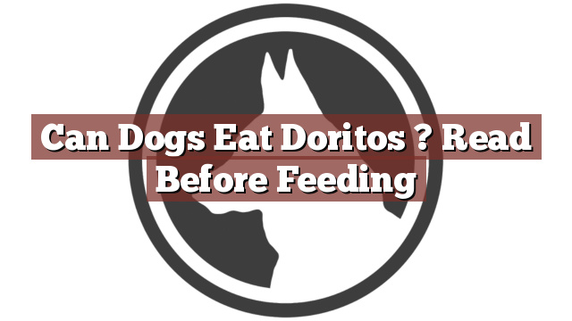 Can Dogs Eat Doritos ? Read Before Feeding