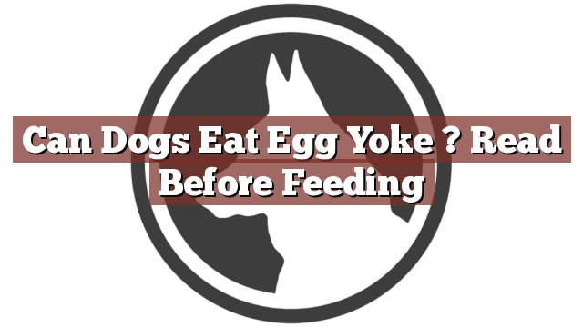Can Dogs Eat Egg Yoke ? Read Before Feeding