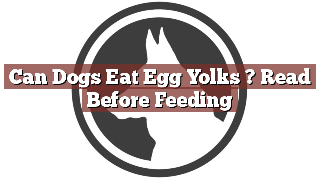 Can Dogs Eat Egg Yolks ? Read Before Feeding