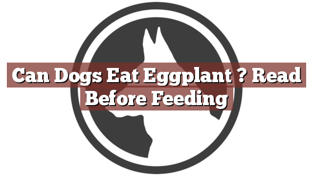 Can Dogs Eat Eggplant ? Read Before Feeding