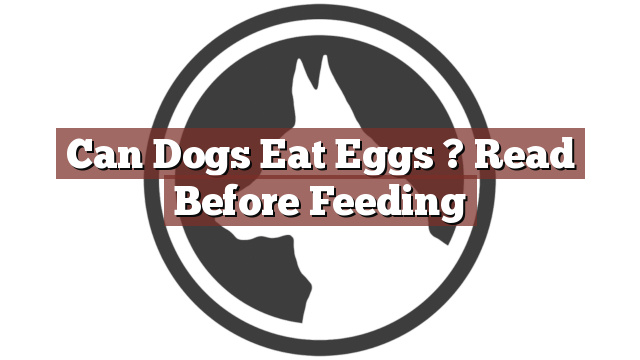 Can Dogs Eat Eggs ? Read Before Feeding