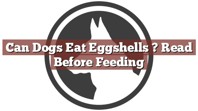 Can Dogs Eat Eggshells ? Read Before Feeding