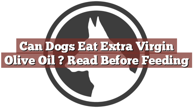 Can Dogs Eat Extra Virgin Olive Oil ? Read Before Feeding