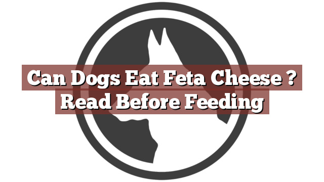 Can Dogs Eat Feta Cheese ? Read Before Feeding