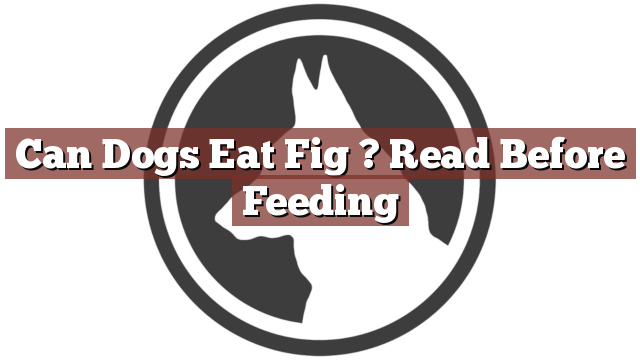 Can Dogs Eat Fig ? Read Before Feeding