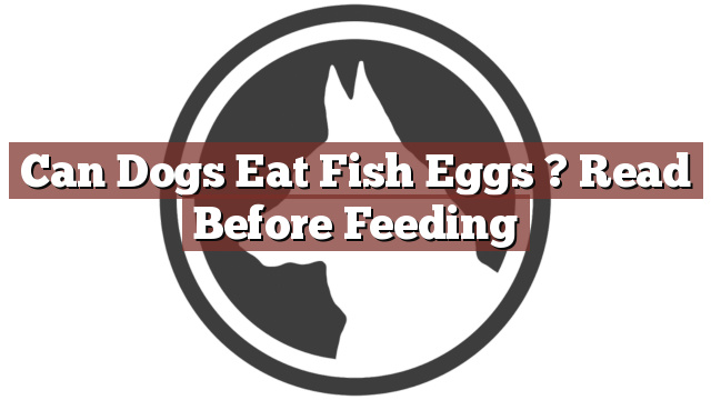 Can Dogs Eat Fish Eggs ? Read Before Feeding