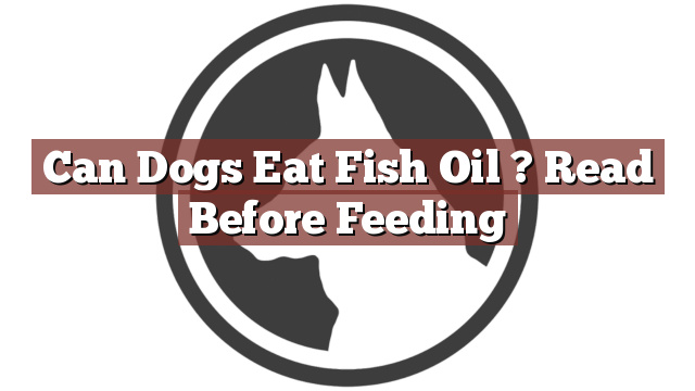Can Dogs Eat Fish Oil ? Read Before Feeding