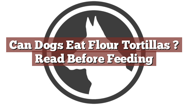 Can Dogs Eat Flour Tortillas ? Read Before Feeding