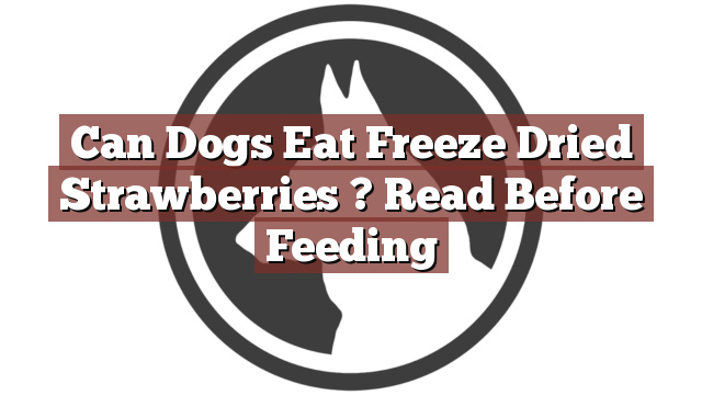 Can Dogs Eat Freeze Dried Strawberries ? Read Before Feeding