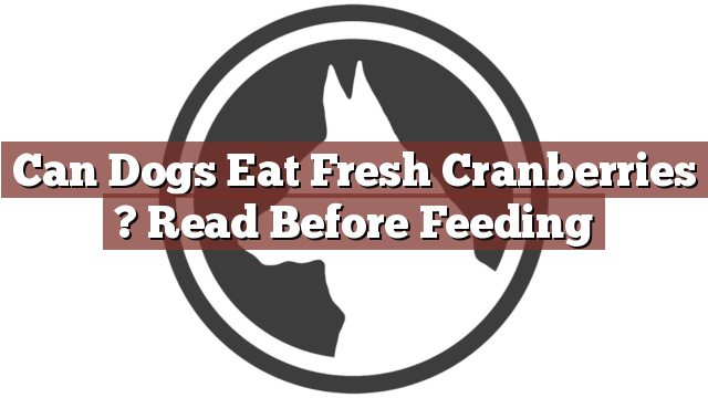 Can Dogs Eat Fresh Cranberries ? Read Before Feeding
