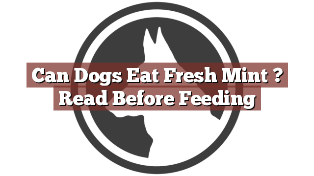 Can Dogs Eat Fresh Mint ? Read Before Feeding