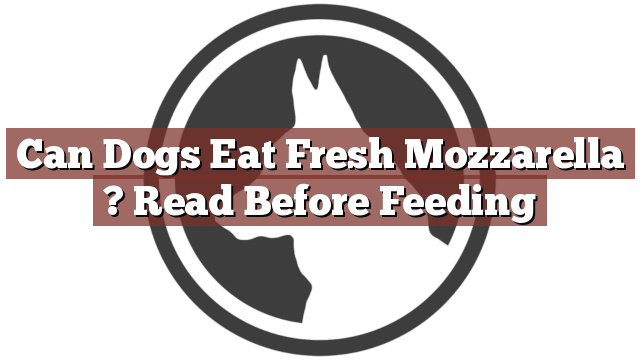 Can Dogs Eat Fresh Mozzarella ? Read Before Feeding