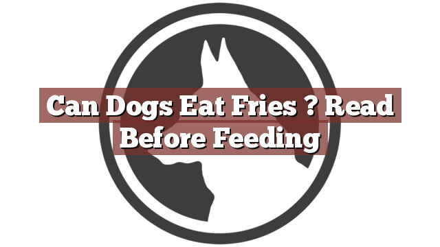 Can Dogs Eat Fries ? Read Before Feeding