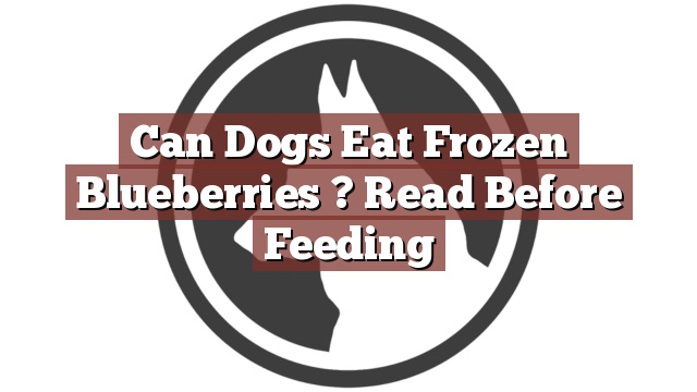Can Dogs Eat Frozen Blueberries ? Read Before Feeding