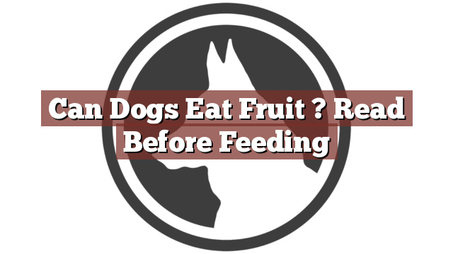 Can Dogs Eat Fruit ? Read Before Feeding