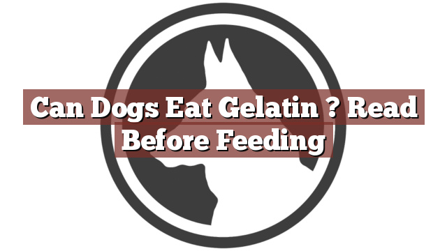 Can Dogs Eat Gelatin ? Read Before Feeding