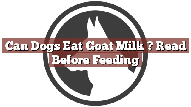 Can Dogs Eat Goat Milk ? Read Before Feeding