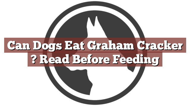 Can Dogs Eat Graham Cracker ? Read Before Feeding