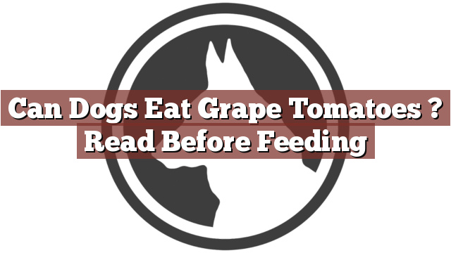 Can Dogs Eat Grape Tomatoes ? Read Before Feeding