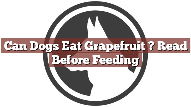 Can Dogs Eat Grapefruit ? Read Before Feeding