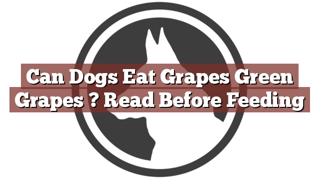 Can Dogs Eat Grapes Green Grapes ? Read Before Feeding