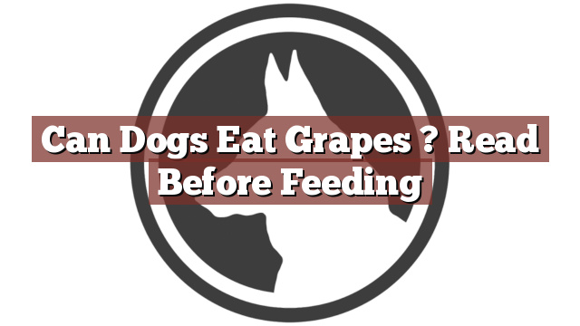 Can Dogs Eat Grapes ? Read Before Feeding