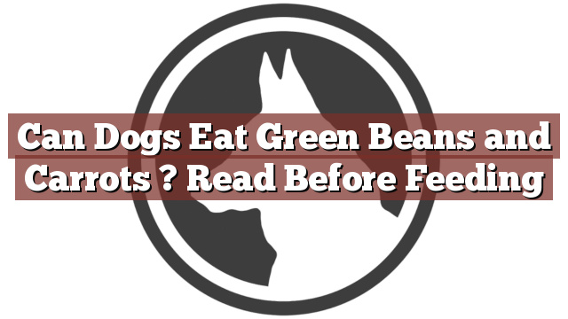 Can Dogs Eat Green Beans and Carrots ? Read Before Feeding