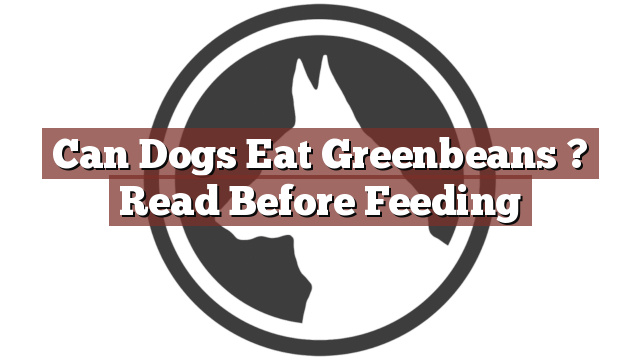 Can Dogs Eat Greenbeans ? Read Before Feeding