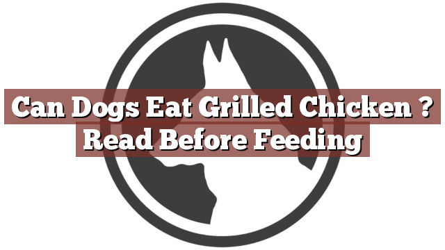 Can Dogs Eat Grilled Chicken ? Read Before Feeding