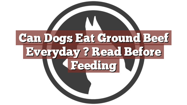 Can Dogs Eat Ground Beef Everyday ? Read Before Feeding