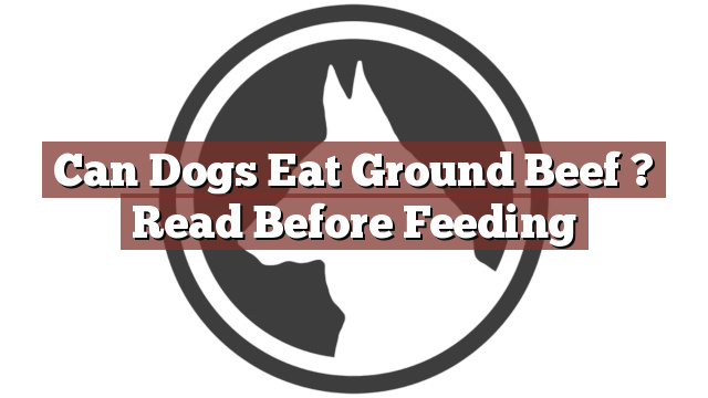 Can Dogs Eat Ground Beef ? Read Before Feeding