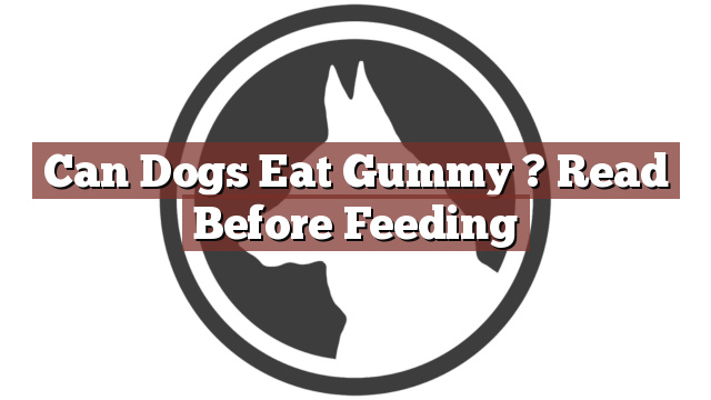 Can Dogs Eat Gummy ? Read Before Feeding