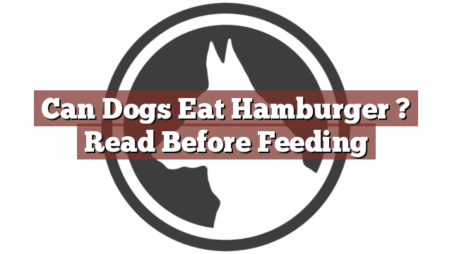 Can Dogs Eat Hamburger ? Read Before Feeding