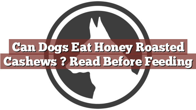 Can Dogs Eat Honey Roasted Cashews ? Read Before Feeding