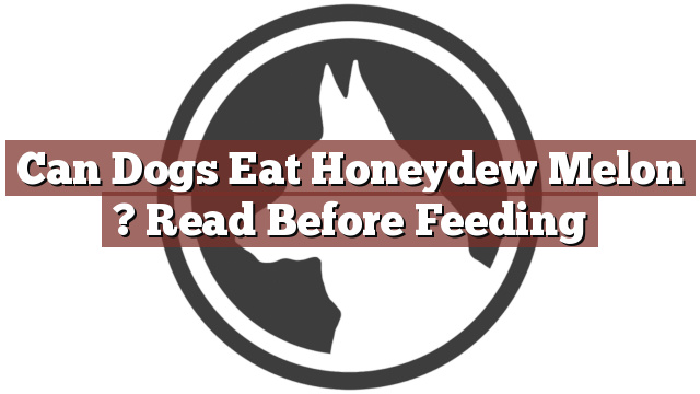 Can Dogs Eat Honeydew Melon ? Read Before Feeding