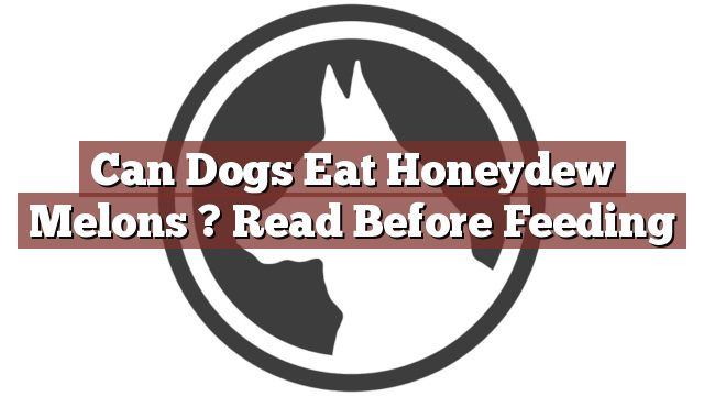 Can Dogs Eat Honeydew Melons ? Read Before Feeding