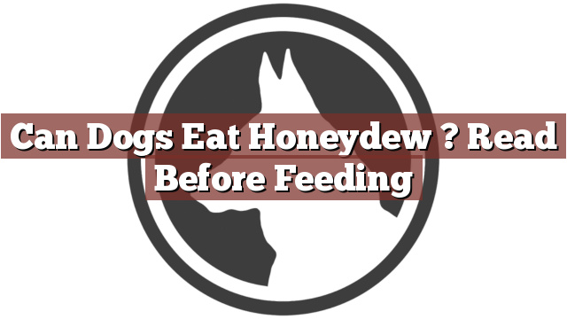 Can Dogs Eat Honeydew ? Read Before Feeding