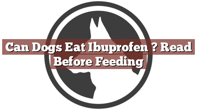 Can Dogs Eat Ibuprofen ? Read Before Feeding