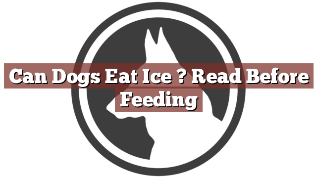 Can Dogs Eat Ice ? Read Before Feeding