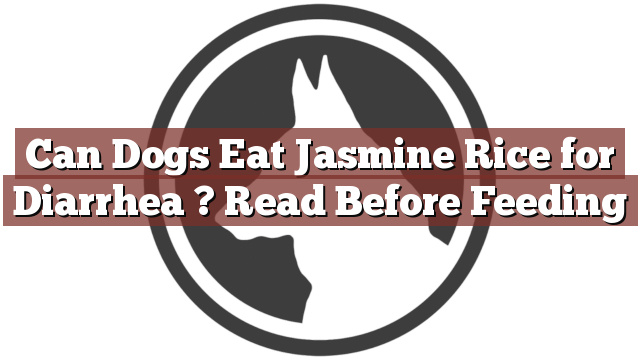 Can Dogs Eat Jasmine Rice for Diarrhea ? Read Before Feeding