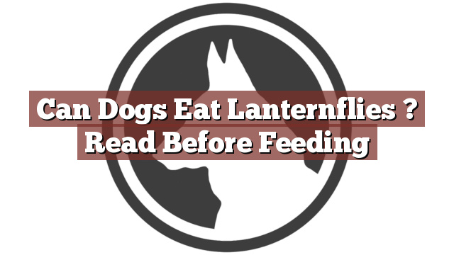 Can Dogs Eat Lanternflies ? Read Before Feeding
