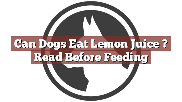 Can Dogs Eat Lemon Juice ? Read Before Feeding