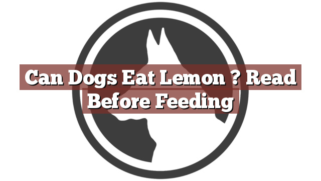 Can Dogs Eat Lemon ? Read Before Feeding