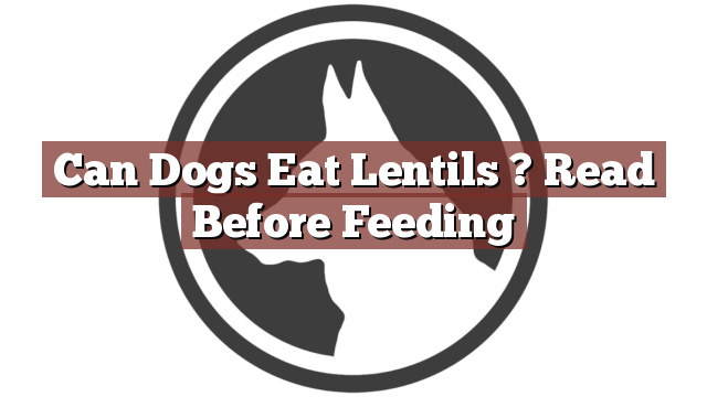 Can Dogs Eat Lentils ? Read Before Feeding