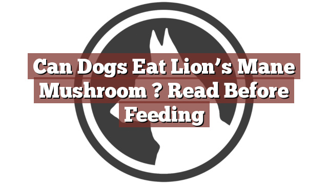 Can Dogs Eat Lion’s Mane Mushroom ? Read Before Feeding