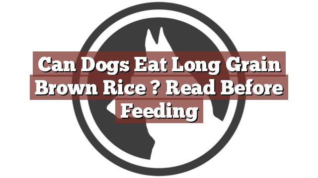 Can Dogs Eat Long Grain Brown Rice ? Read Before Feeding