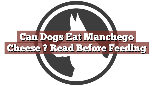 Can Dogs Eat Manchego Cheese ? Read Before Feeding