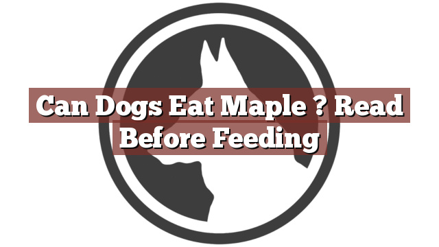 Can Dogs Eat Maple ? Read Before Feeding