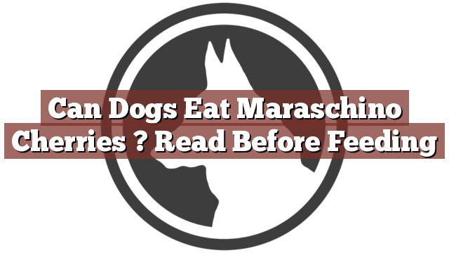 Can Dogs Eat Maraschino Cherries ? Read Before Feeding