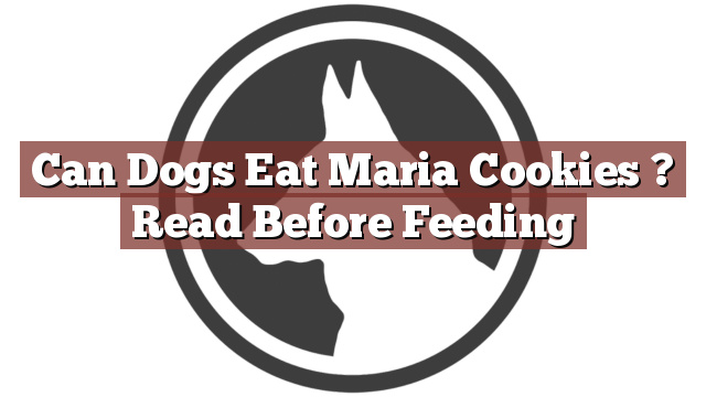 Can Dogs Eat Maria Cookies ? Read Before Feeding